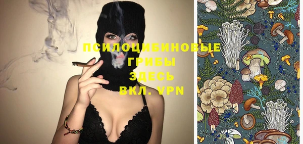 твердый Алексеевка