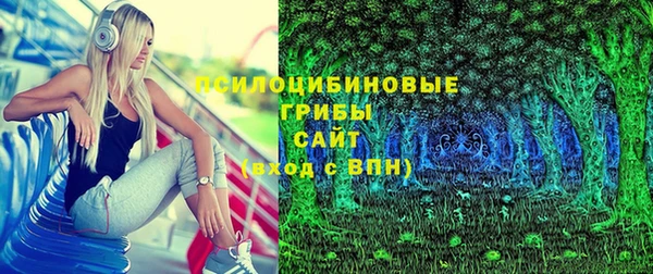 твердый Алексеевка