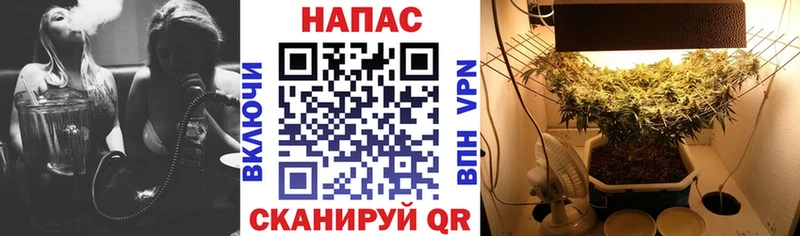мориарти состав  Павлово  Конопля MAZAR 